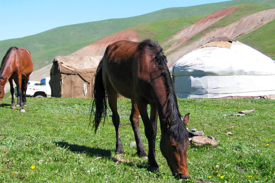 Horse riding