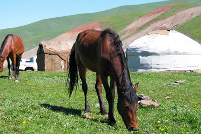 Horse riding