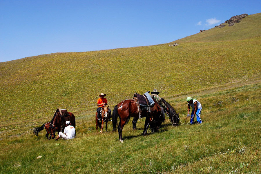 Horse riding