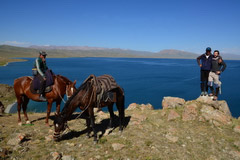 Horse Riding