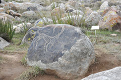 Petroglyphs in Cholpon-Ata