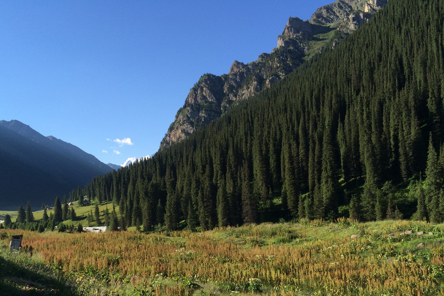 Altyn Arashan Gorge