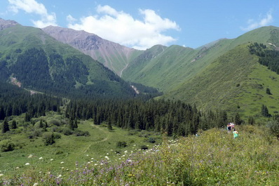 Gorge Chamsy