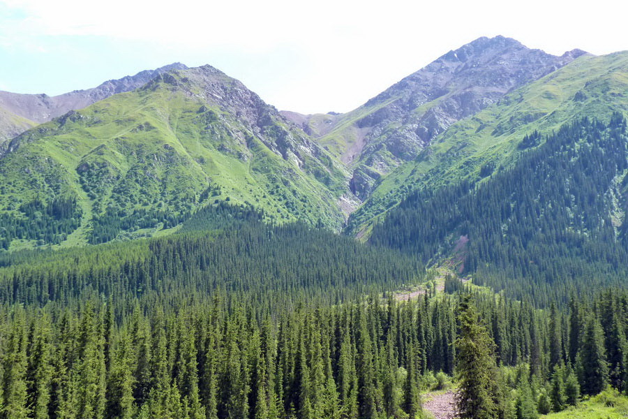 Shamsi Gorge