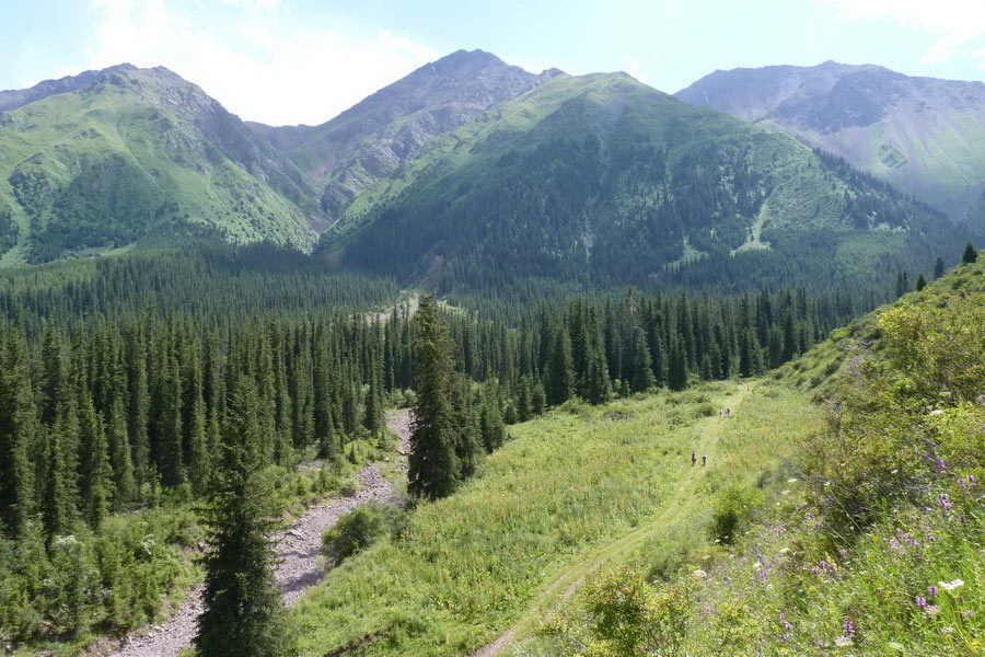 Shamsi Gorge