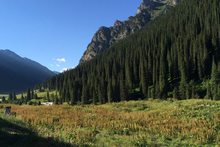 Altyn Arashan Gorge