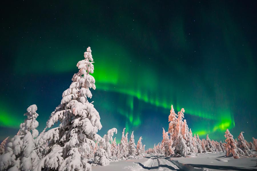 Mejor Época para Viajar a Rusia. Invierno