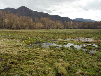 Altai: Tour de las Montañas Doradas