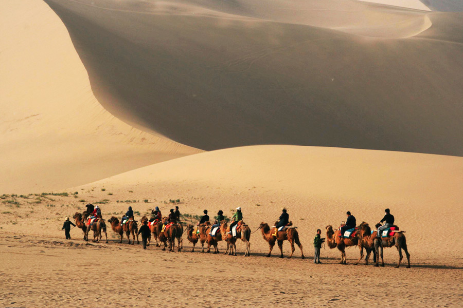 Silk Road Custom Tours