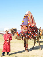 Silk Road Tours