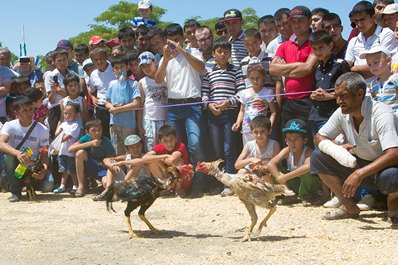 Festival Navruz