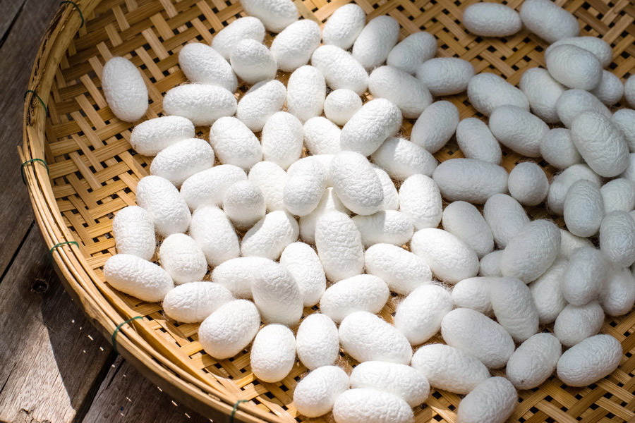 Silk Production Process in Ancient China