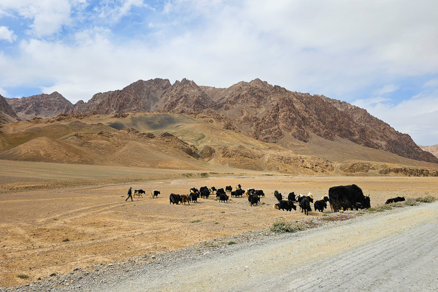 Nature of Tajikistan