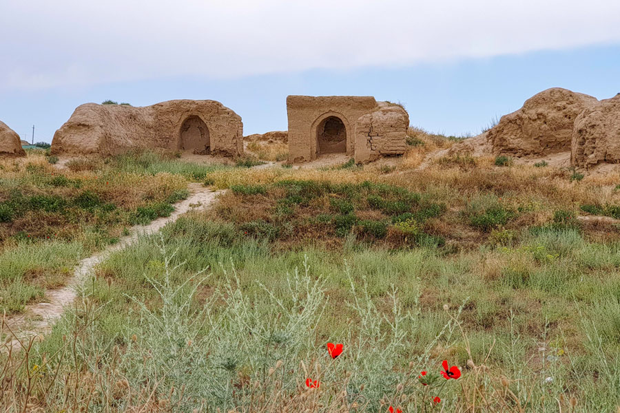 Penjikent Ancient Settlement