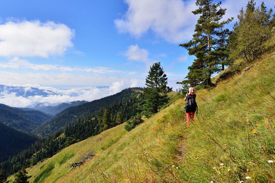 Hiking Borjomi Park