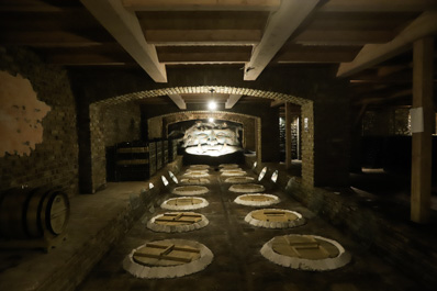 Shumi Winery