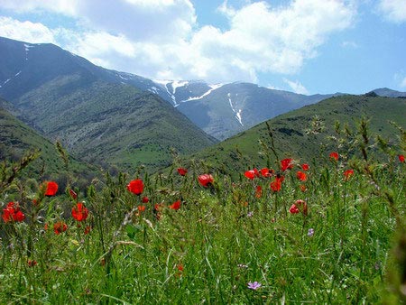 Nurata Berge, Usbekistan