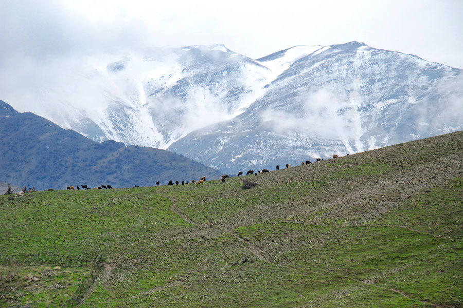 Нуратинские горы, Узбекистан