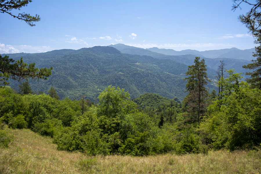 Borjomi-Kharagauli National Park, Georgia