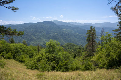 Borjomi-Kharagauli National Park, Georgia