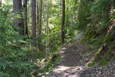 Borjomi-Kharagauli National Park, Georgia