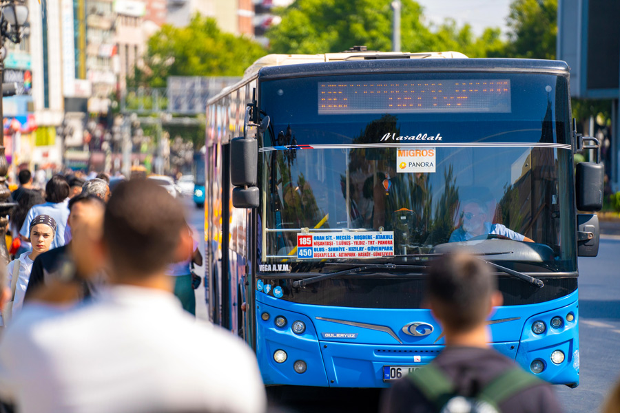 Bus, Public Transport