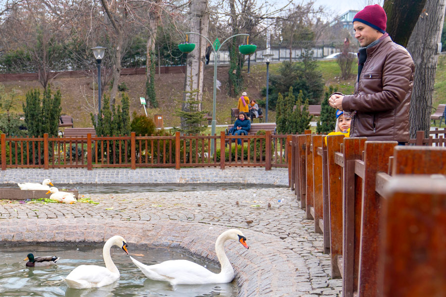 Swan Park, Ankara Swan Park, Ankara