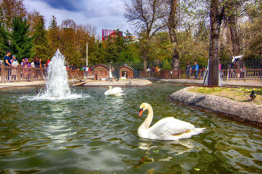 Kuğulu Park, Ankara Kuğulu Park, Ankara