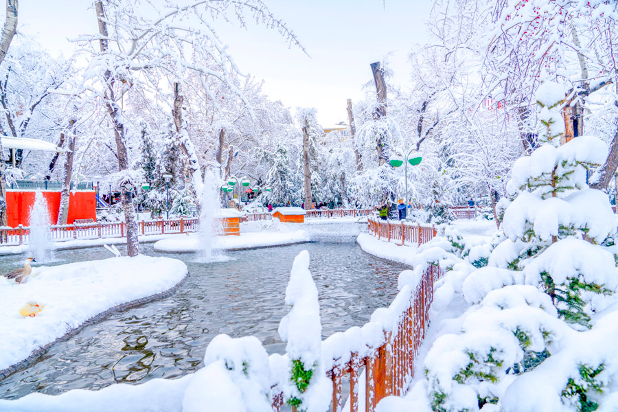 Kuğulu Park in Winter, Ankara Kuğulu Park in Winter, Ankara