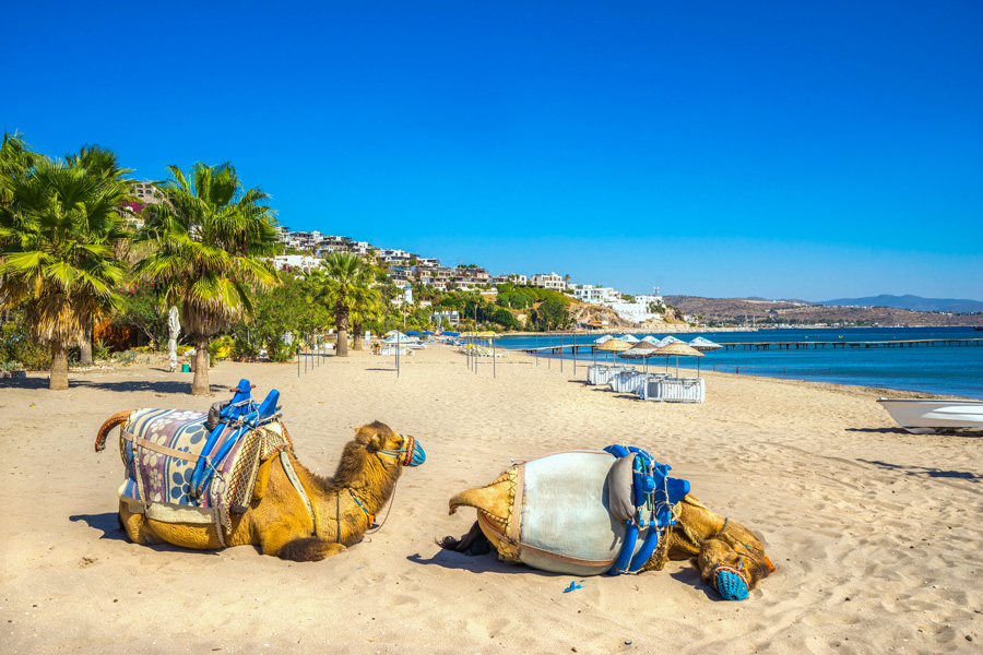 Camel Beach, Bodrum Camel Beach, Bodrum
