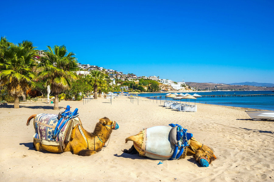 Camel Beach, Entertainment in Bodrum