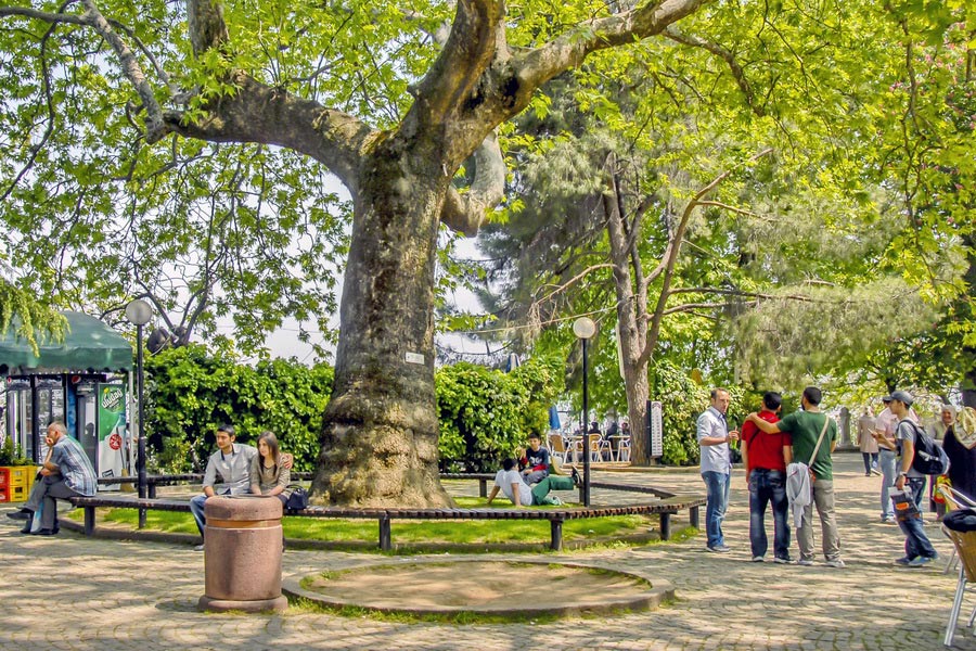 Tophane Area, Bursa
