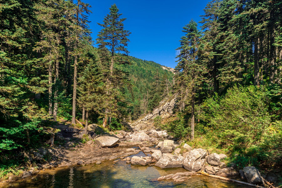 Uludağ National Park, Bursa