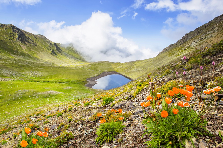 Wonderful Nature of Turkey