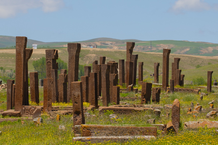 Ahlat Stonework, Ahlat Seljuk Cemetery