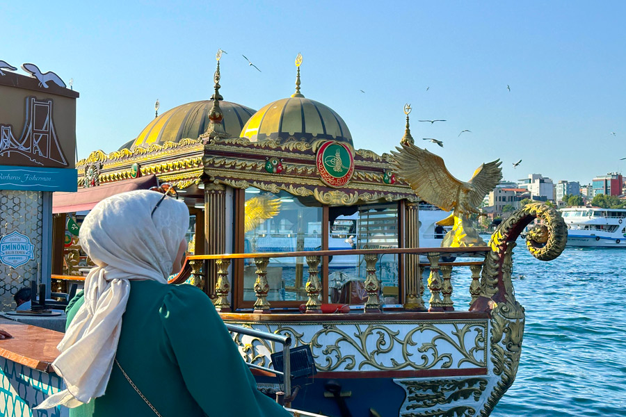 Types of Bosphorus Tours, Istanbul