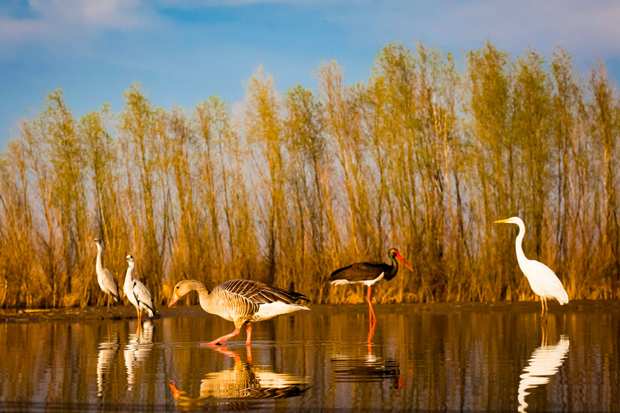 Dilek Peninsula Büyük Menderes Delta National Park