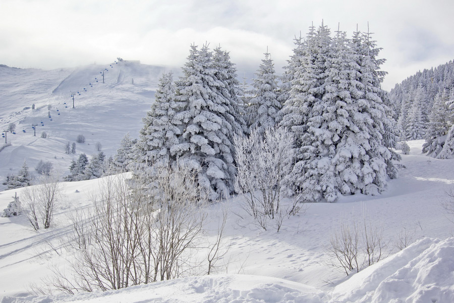 Uludağ National Park, National Parks and Reserves of the Marmara Region