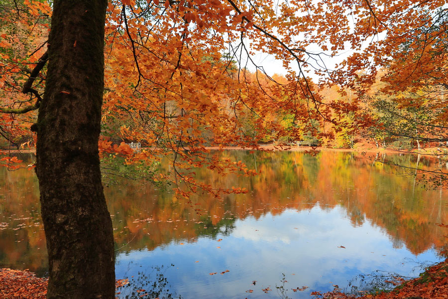 Yedigöller National Park, National Parks and Reserves of the Black Sea Region
