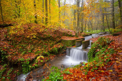 Yedigoller National Park, Turkey Travel