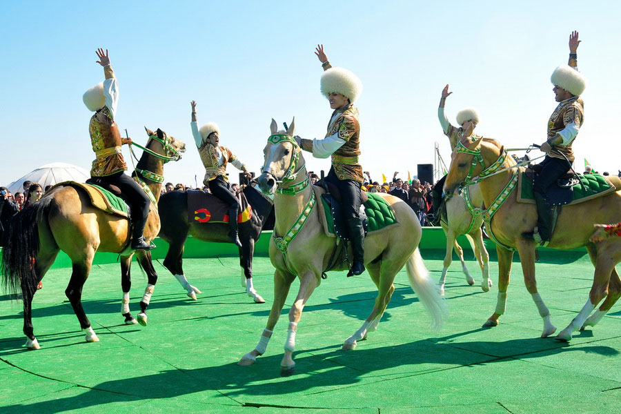 Chevaux turkmènes Akhal-Teke