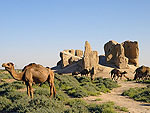 Lugares turísticos de Turkmenistán - Dekhistan