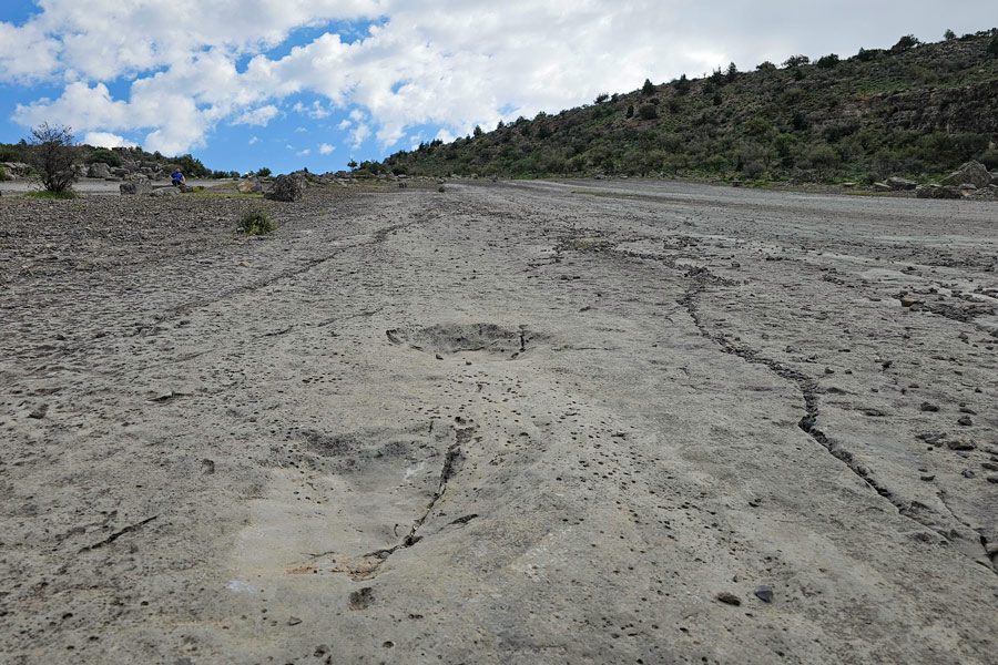 Dinosaur Plateau