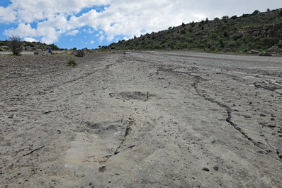Dinosaur Plateau