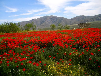 Excursión a Nokhur