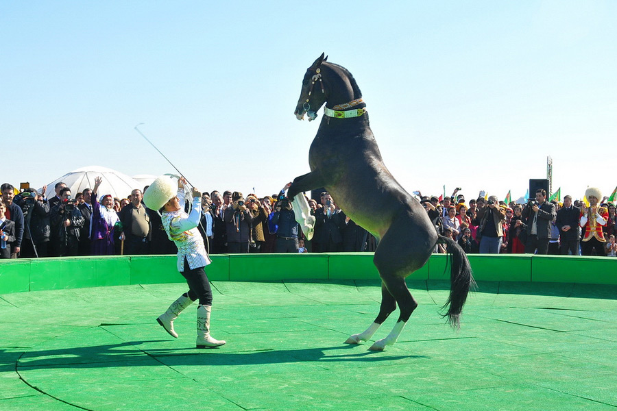 トルクメニスタンの宝物 - アハルテキン馬