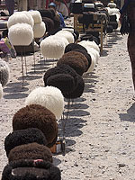 Papaha, Turkmenistan