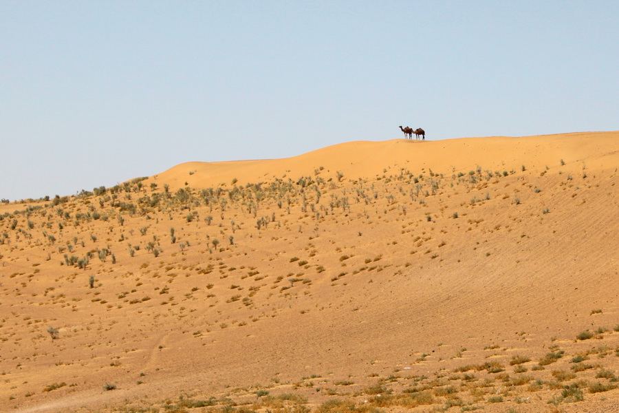 Naturaleza de Turkmenistán