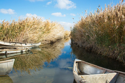 Mer d'Aral, Ouzbékistan