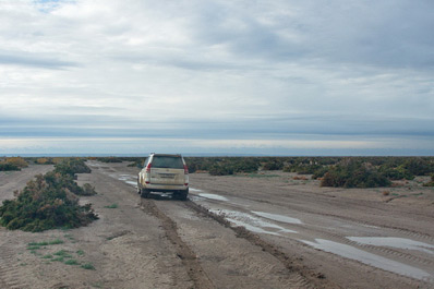 Aral Sea, Uzbekistan